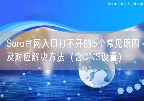 Sora官网入口打不开的5个常见原因及对应解决方法（含DNS设置）